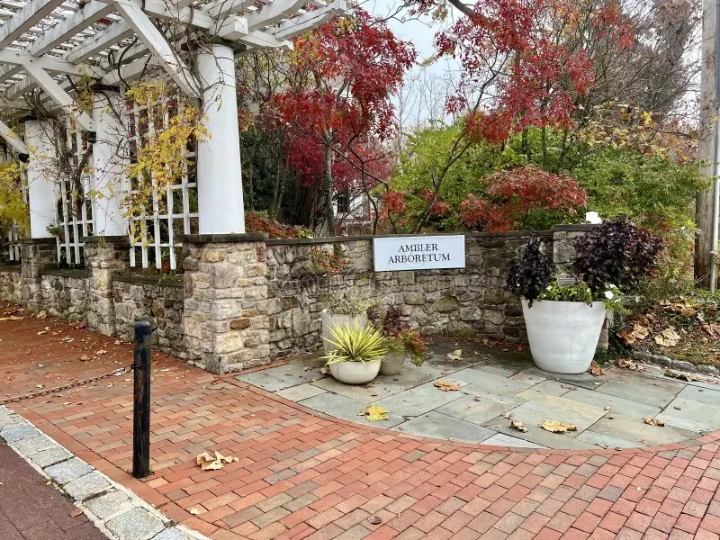Temple University Ambler Arboretum