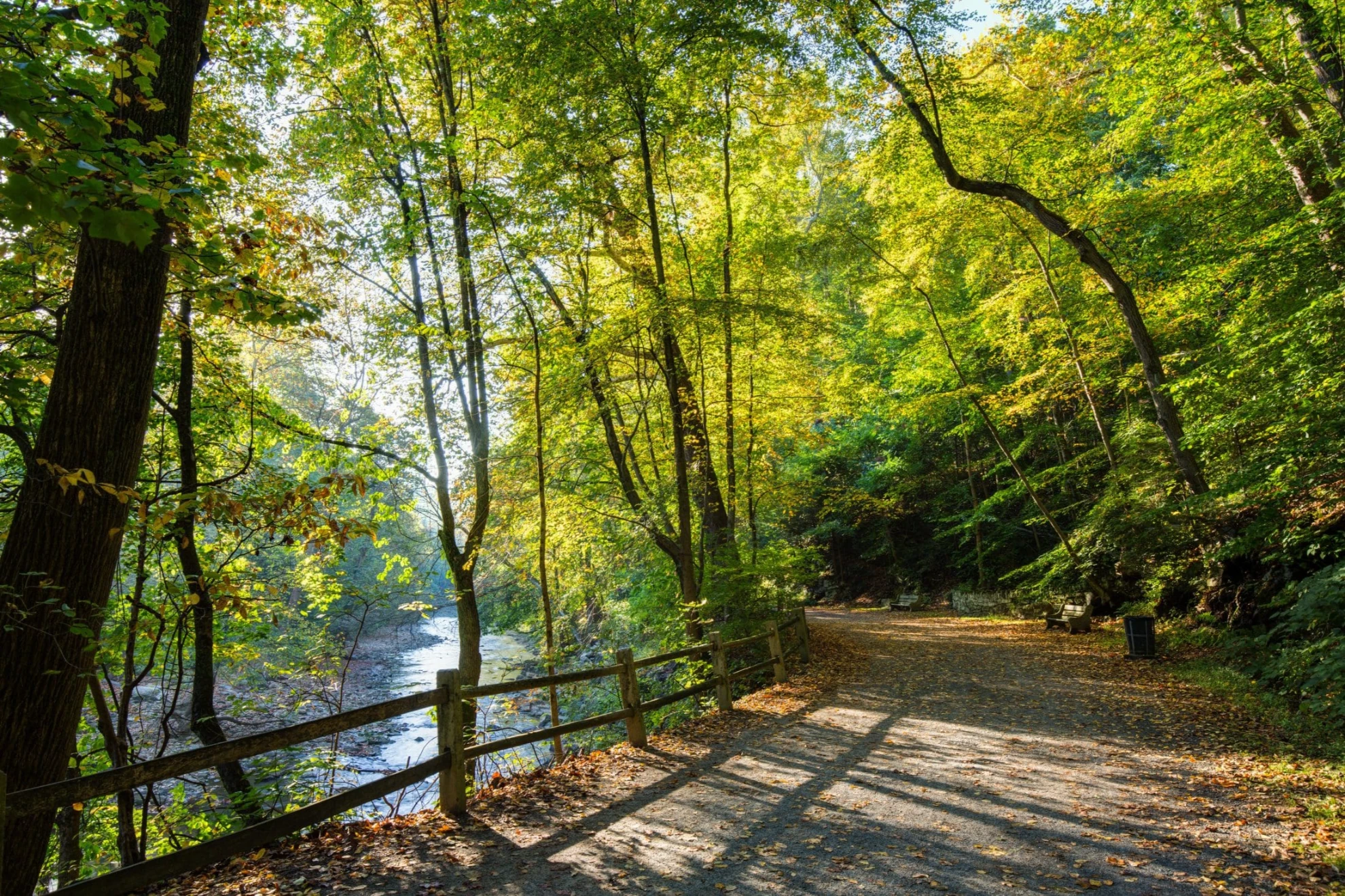 Wissahickon Trail
